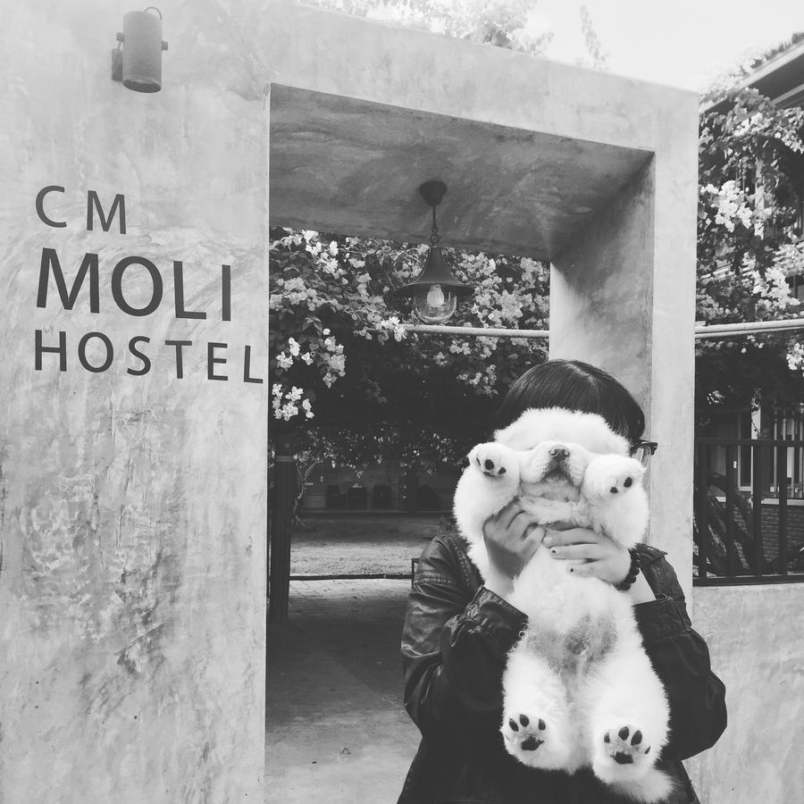 Chiangmai Moli Inn (Adults Only) チエンマイ エクステリア 写真