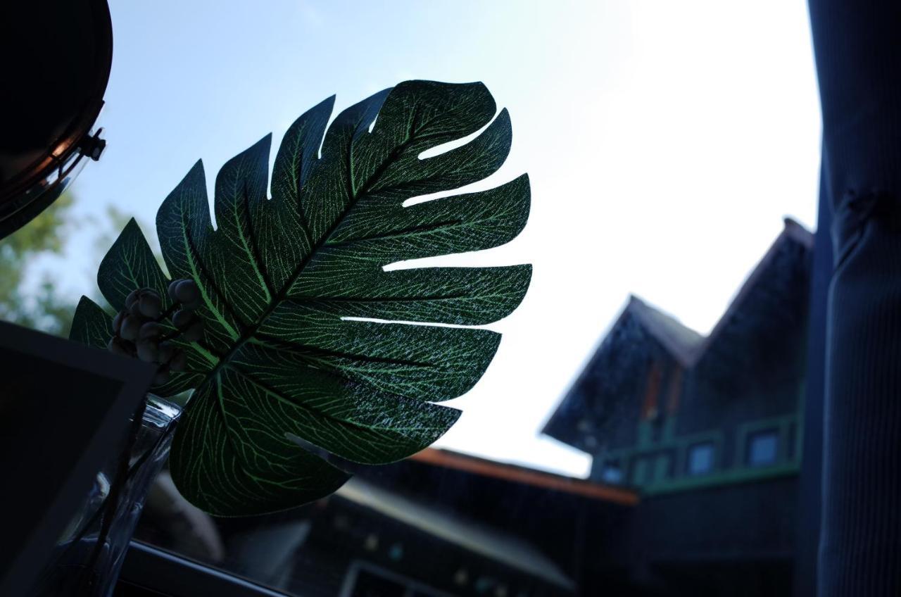 Chiangmai Moli Inn (Adults Only) チエンマイ エクステリア 写真